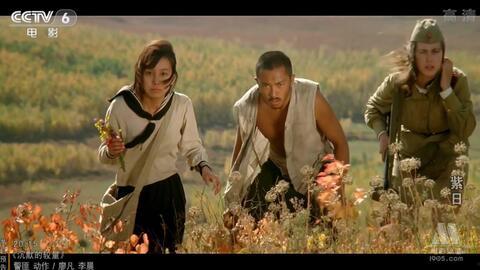 紫日电影在线观看,穿越时光的青春记忆  第1张