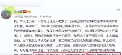 汪小菲爆料事件真相视频,揭秘背后惊人内幕 第3张 汪小菲爆料事件真相视频,揭秘背后惊人内幕 第3张